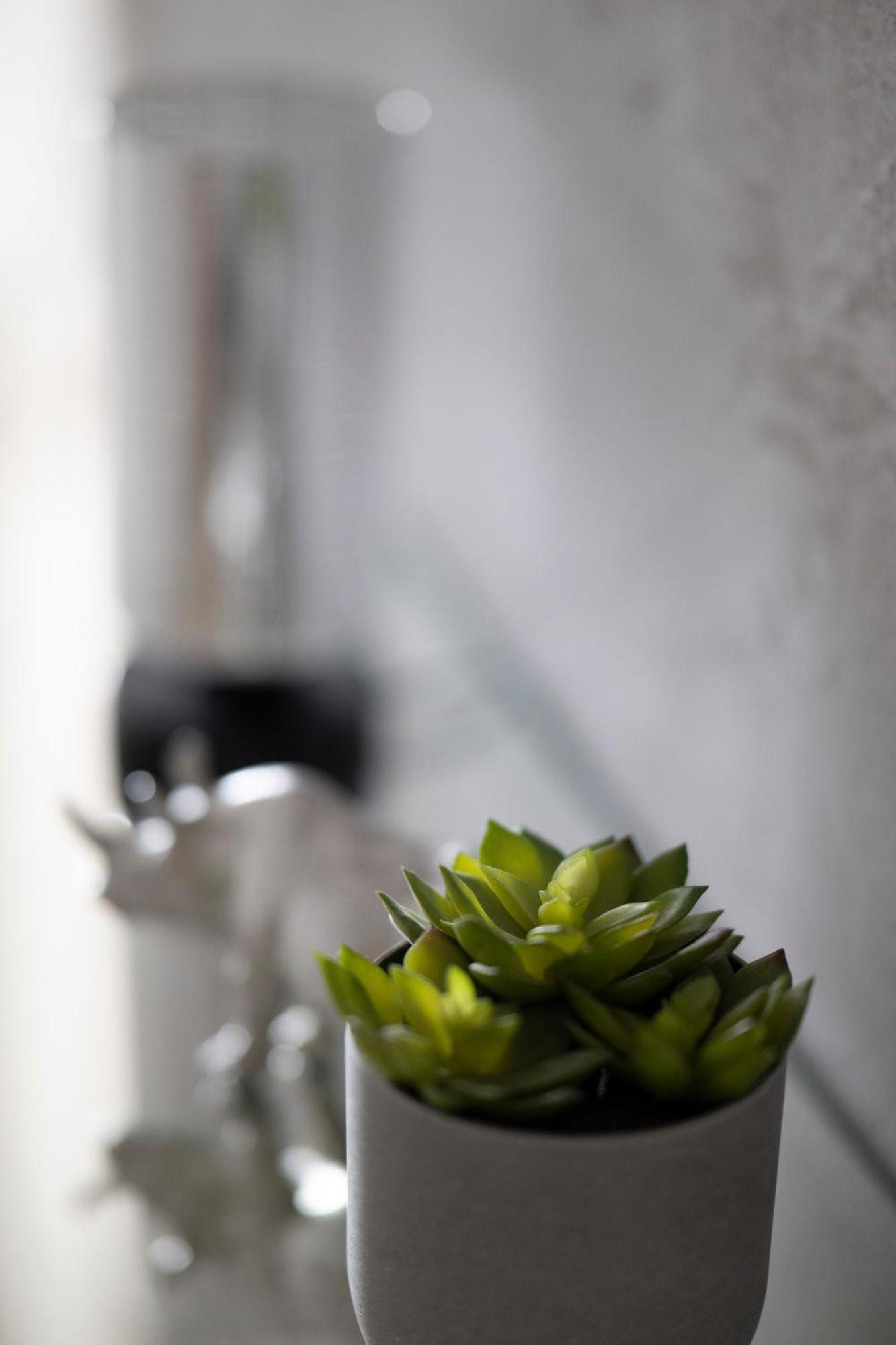 Apartament Wanessa غدانسك المظهر الخارجي الصورة
