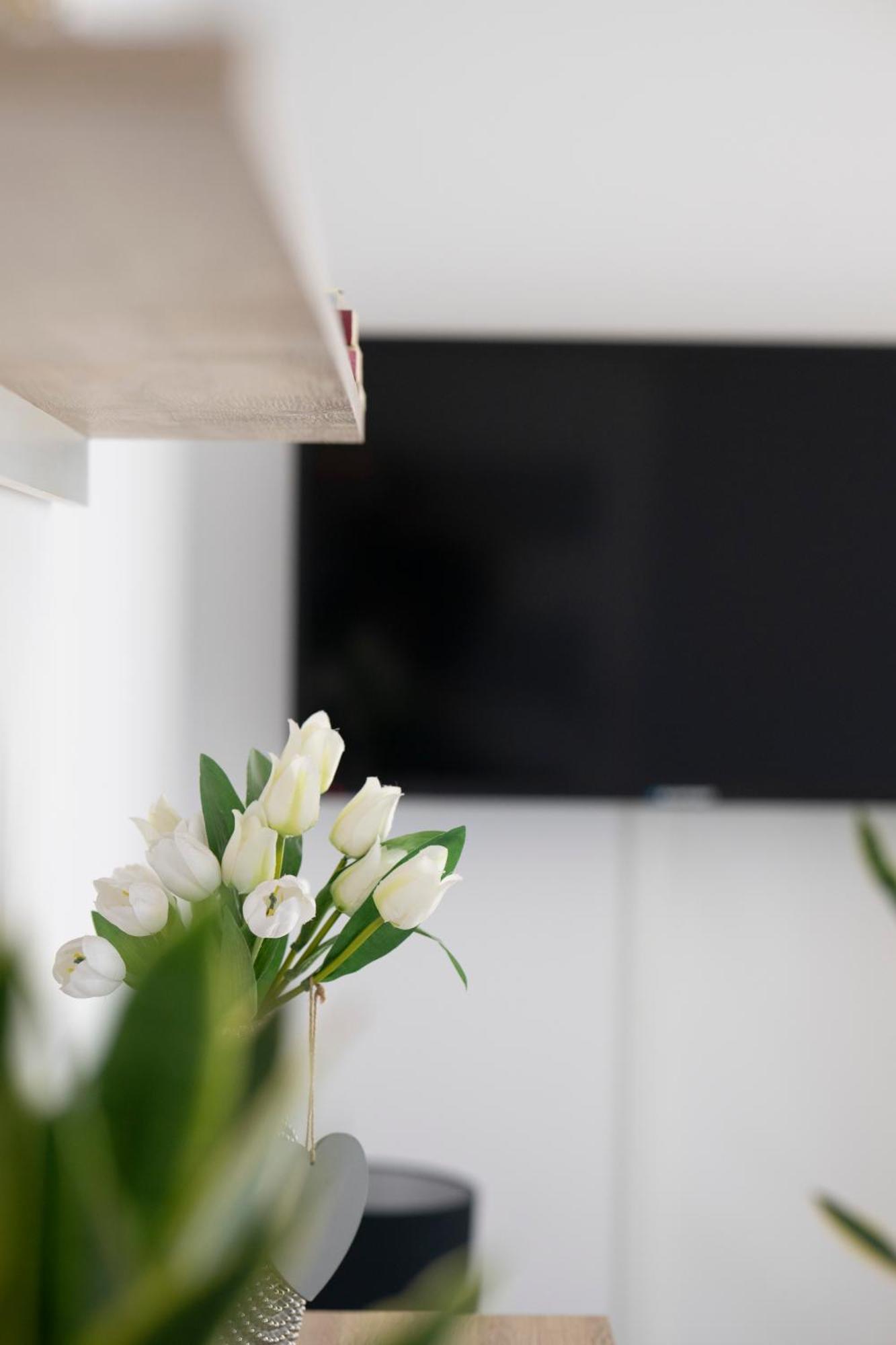 Apartament Wanessa غدانسك المظهر الخارجي الصورة